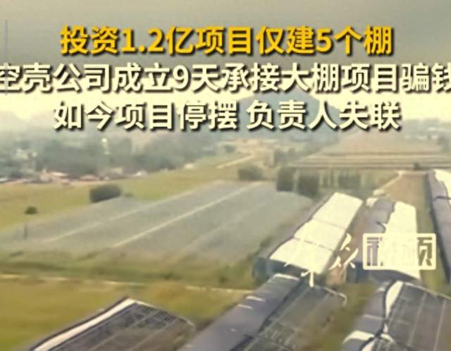 1.2亿项目只建5个棚！承建公司成立才9天！空壳公司两头骗！