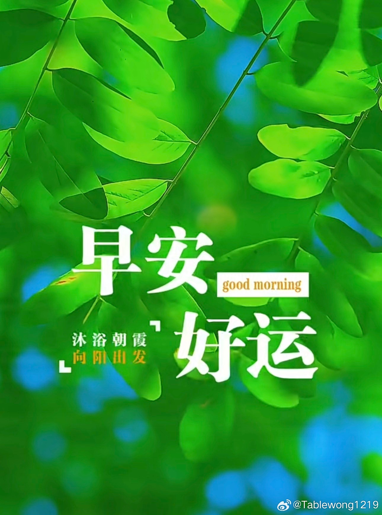 早晨 