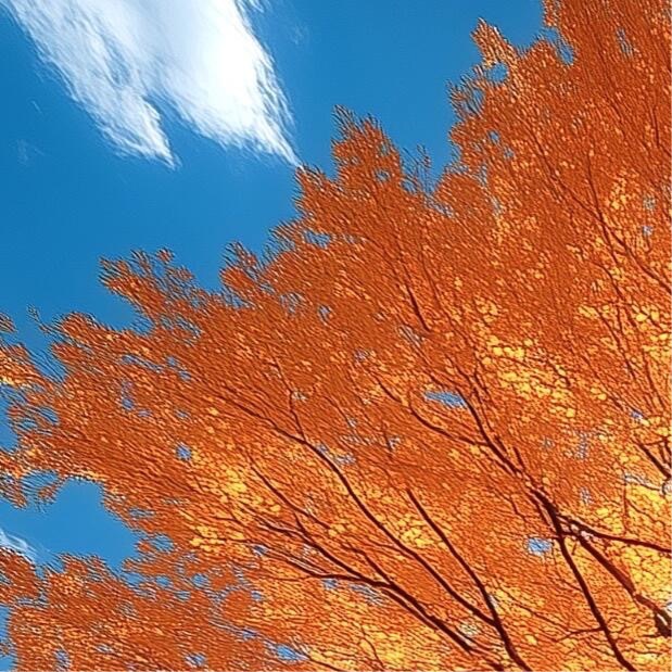 森林驿站  💫阳光信用  💫森林驿站‬ 信心锻造伟业，信念燃烧激情，欲望产生