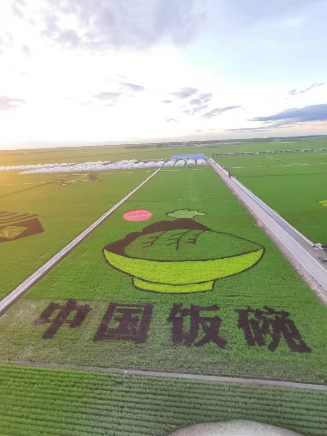 #做早饭时想# 给一个老朋友解释中国技术的进步，以前我们要修公路，美国最早就是一