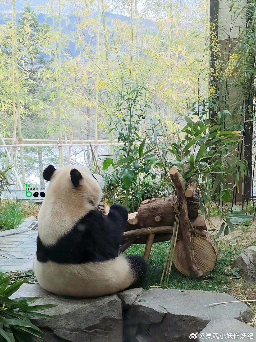 辉宝把摩托车当做小饭桌了 