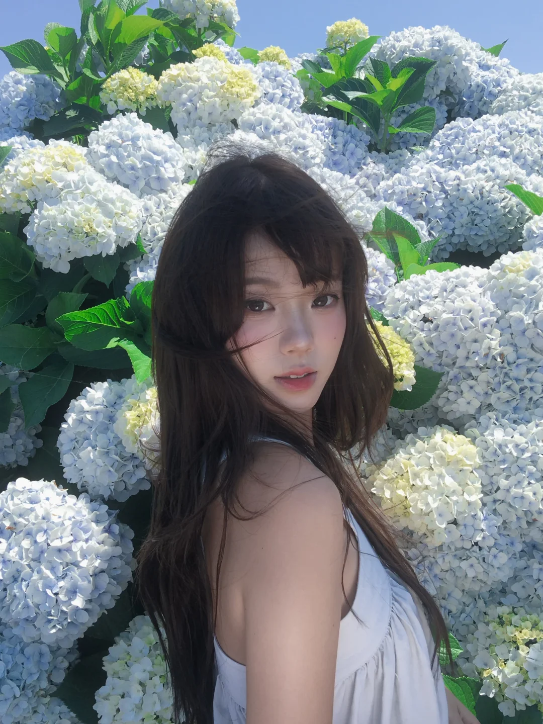 Jeju🫧无尽夏的夏天