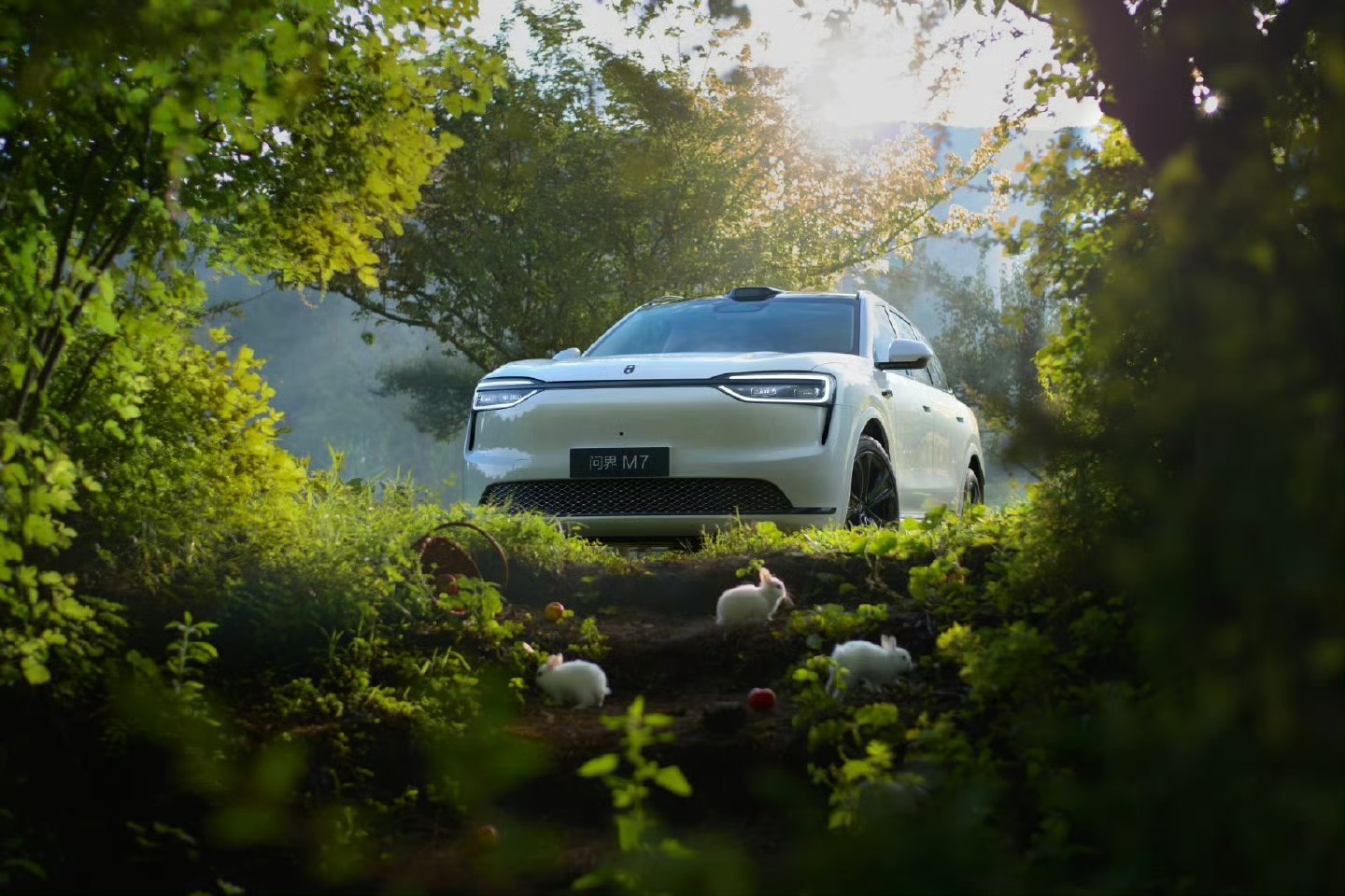 不得不说这测试成绩真是硬核。对咱们这种把家人安全放第一位的人来说，这看着就踏实。