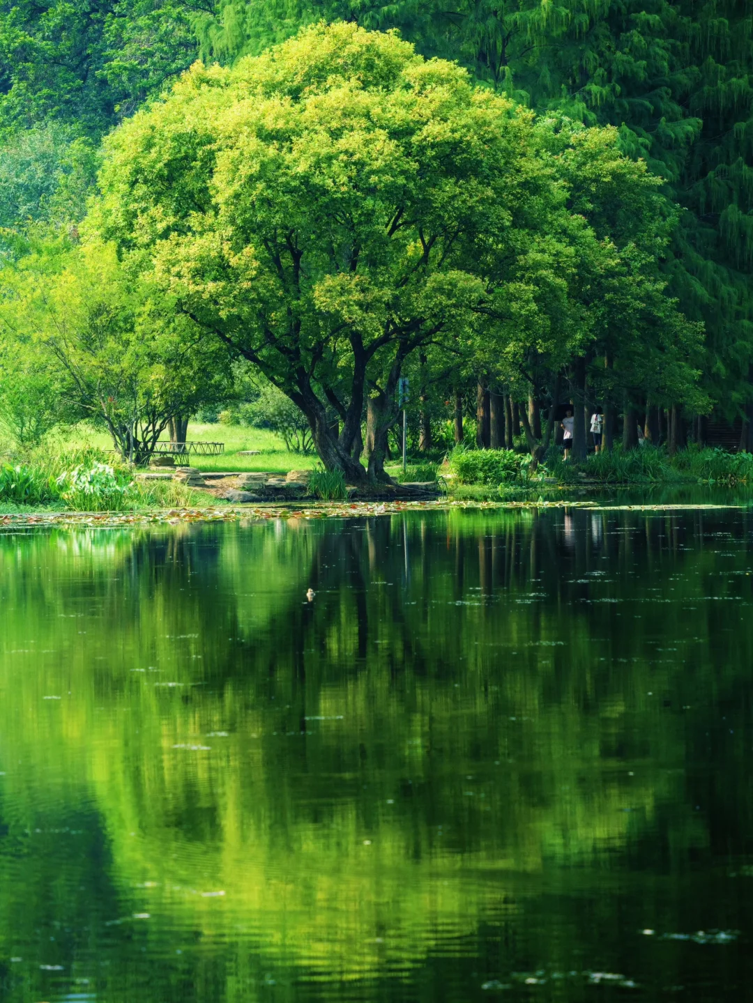 南京不花钱可以逛一天的精神避难所（16/100）