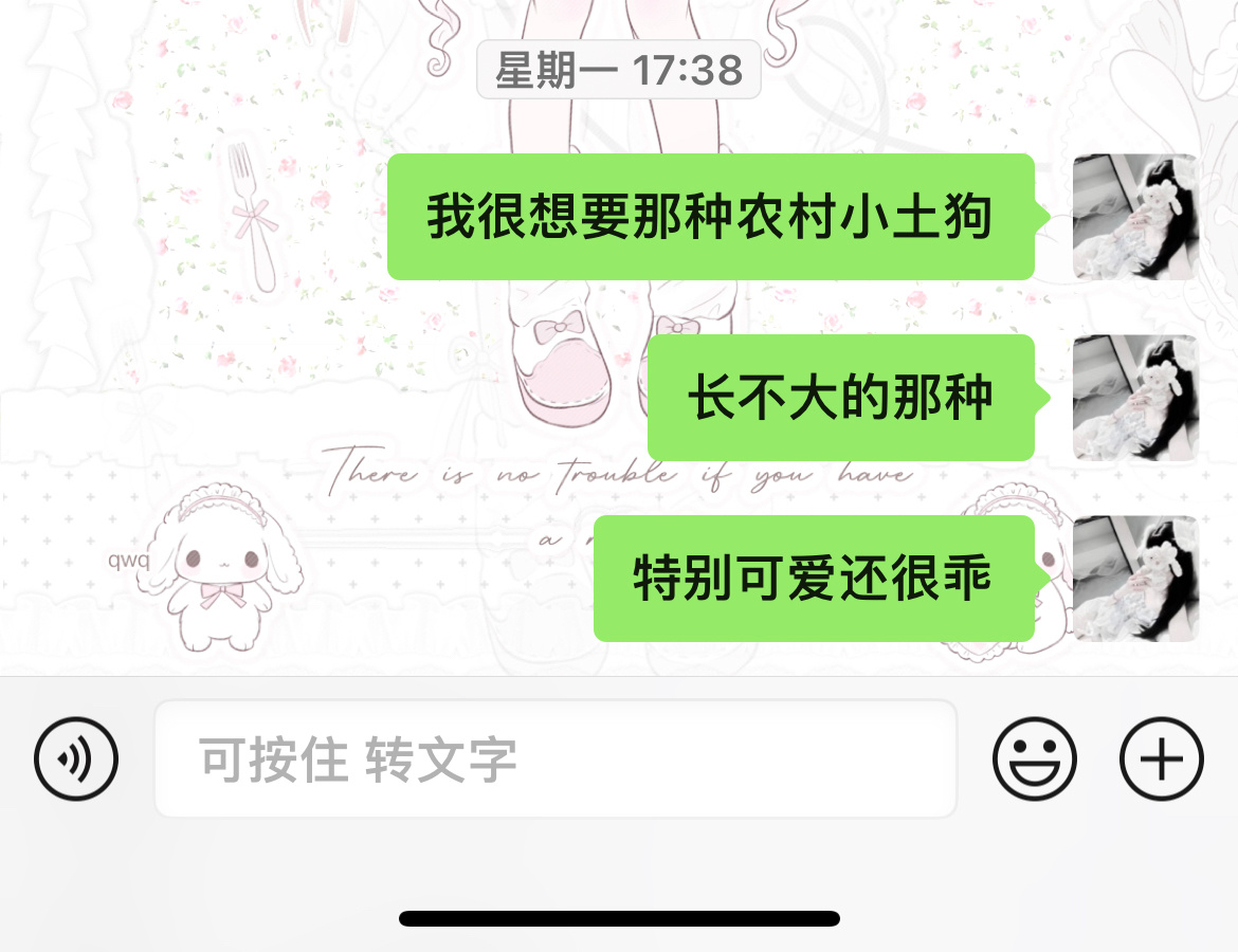 想要就有 全网征名😋 