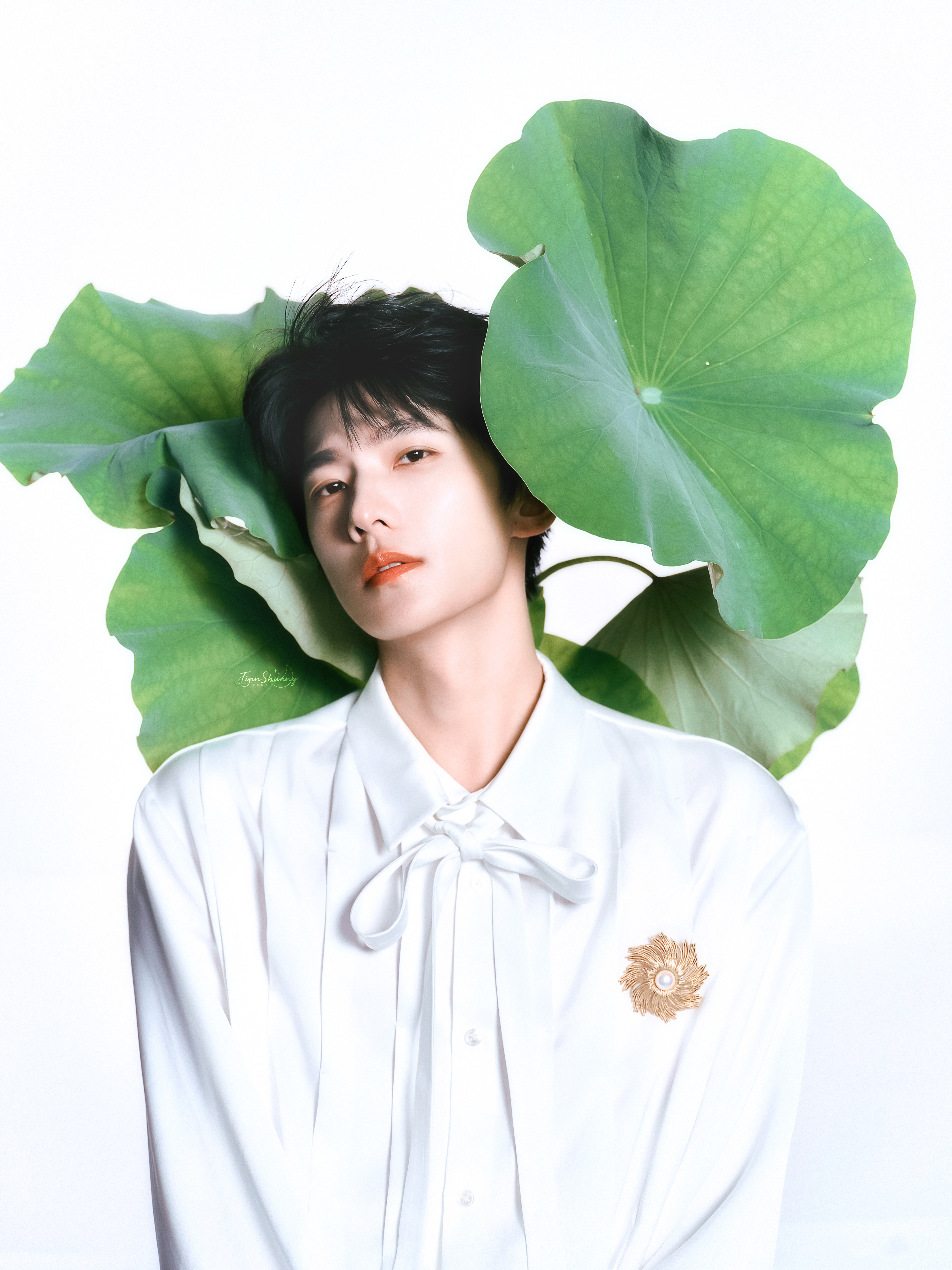 「 盛夏好时光 」 · 杨洋 🍃 杨洋0909生日快乐