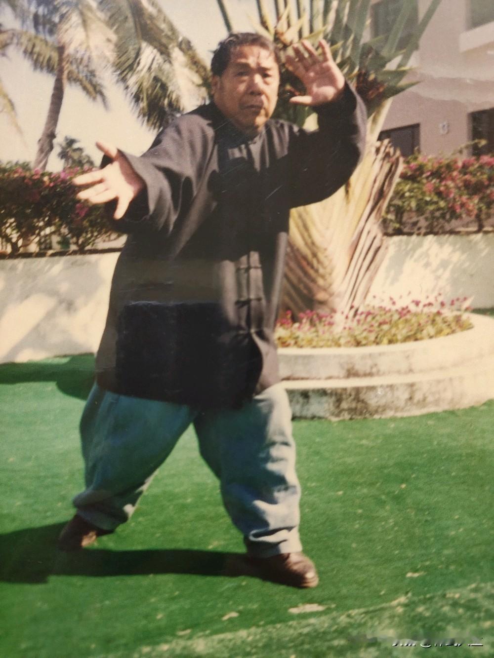 什么是《大成拳》的本质
大成拳，不是对“传武”的简化，而是对“传武”的升华。是对