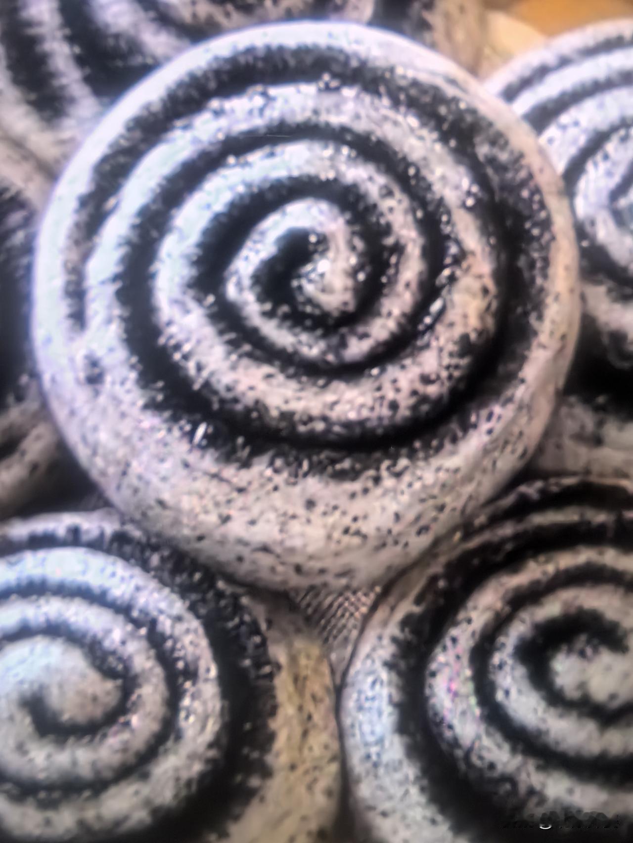 孩子的好脾胃是吃出来的，这个黑芝麻卷只需要一次发酵
 黑芝麻这个做法，天天做孩子