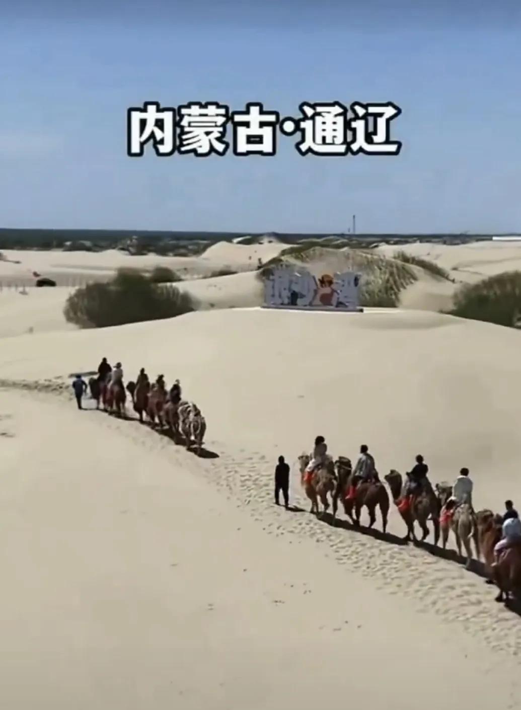 1⃣️肠俞穴——去除大肚子   

小腹肥胖是件很让人头痛的事，艾灸大肠俞穴位能