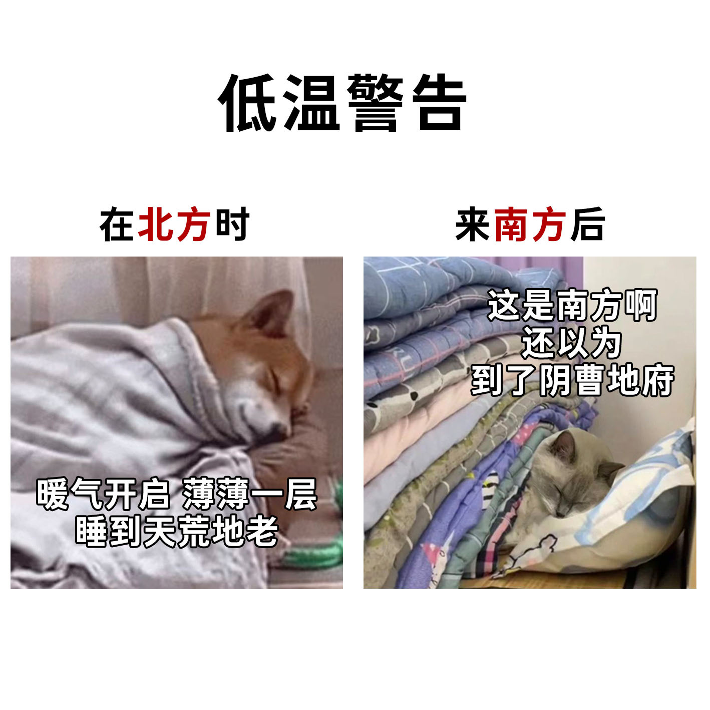 #湖南省服大战东北大花袄#南方冷空气的魔法攻击会给所有北方人狠狠上一课！ ​​​