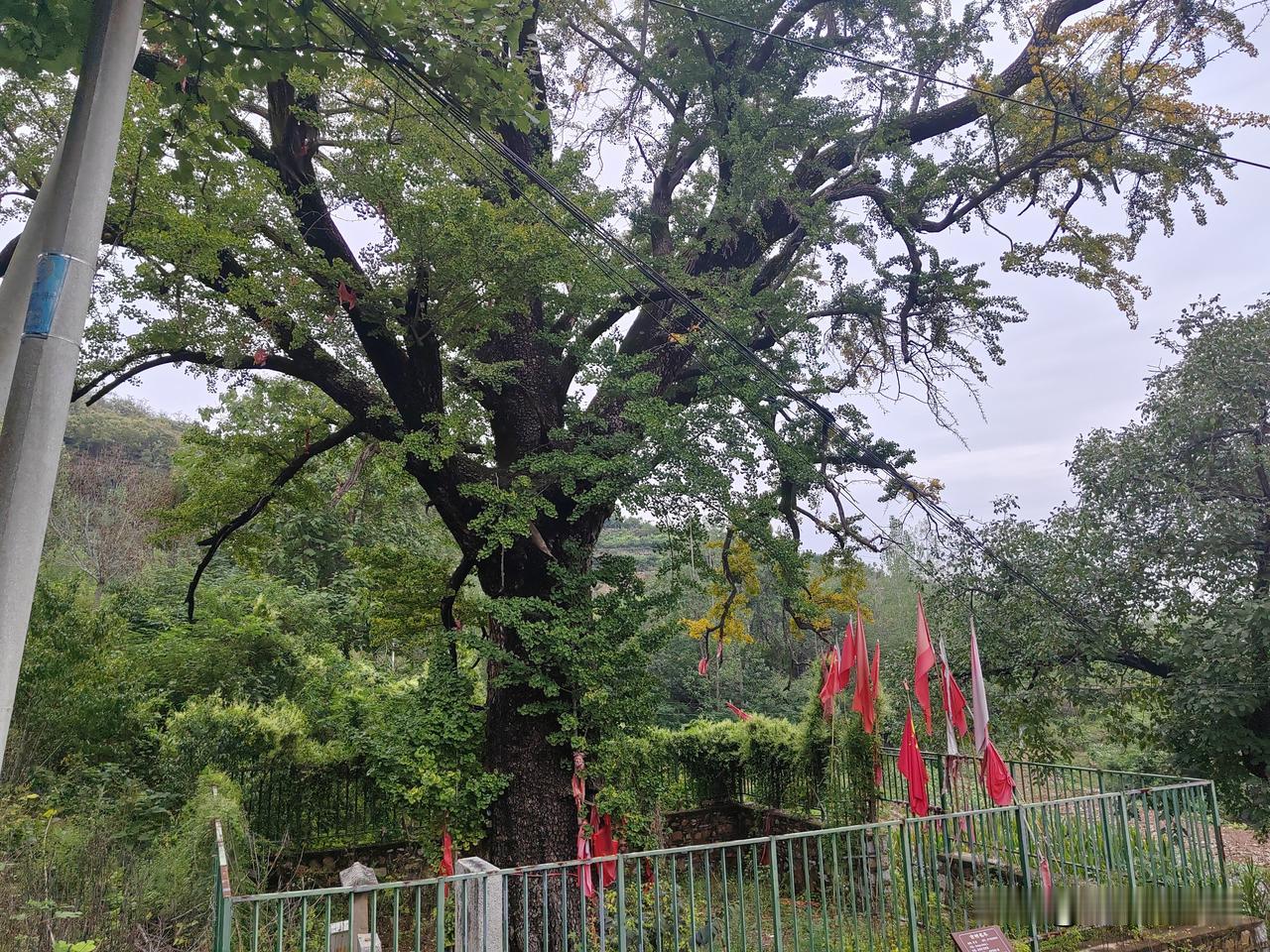 老婆的姐姐和姐夫来看岳母了，还有二舅哥和他女儿也回来了（在烟台），今天老妈也出院