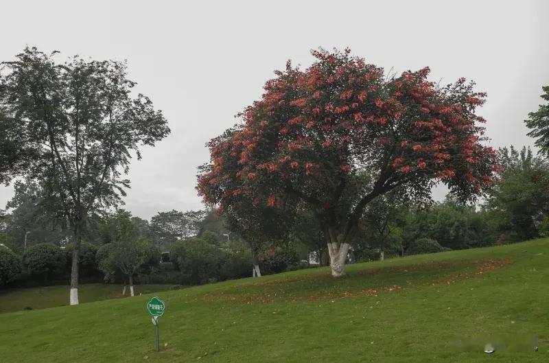 北滨公园