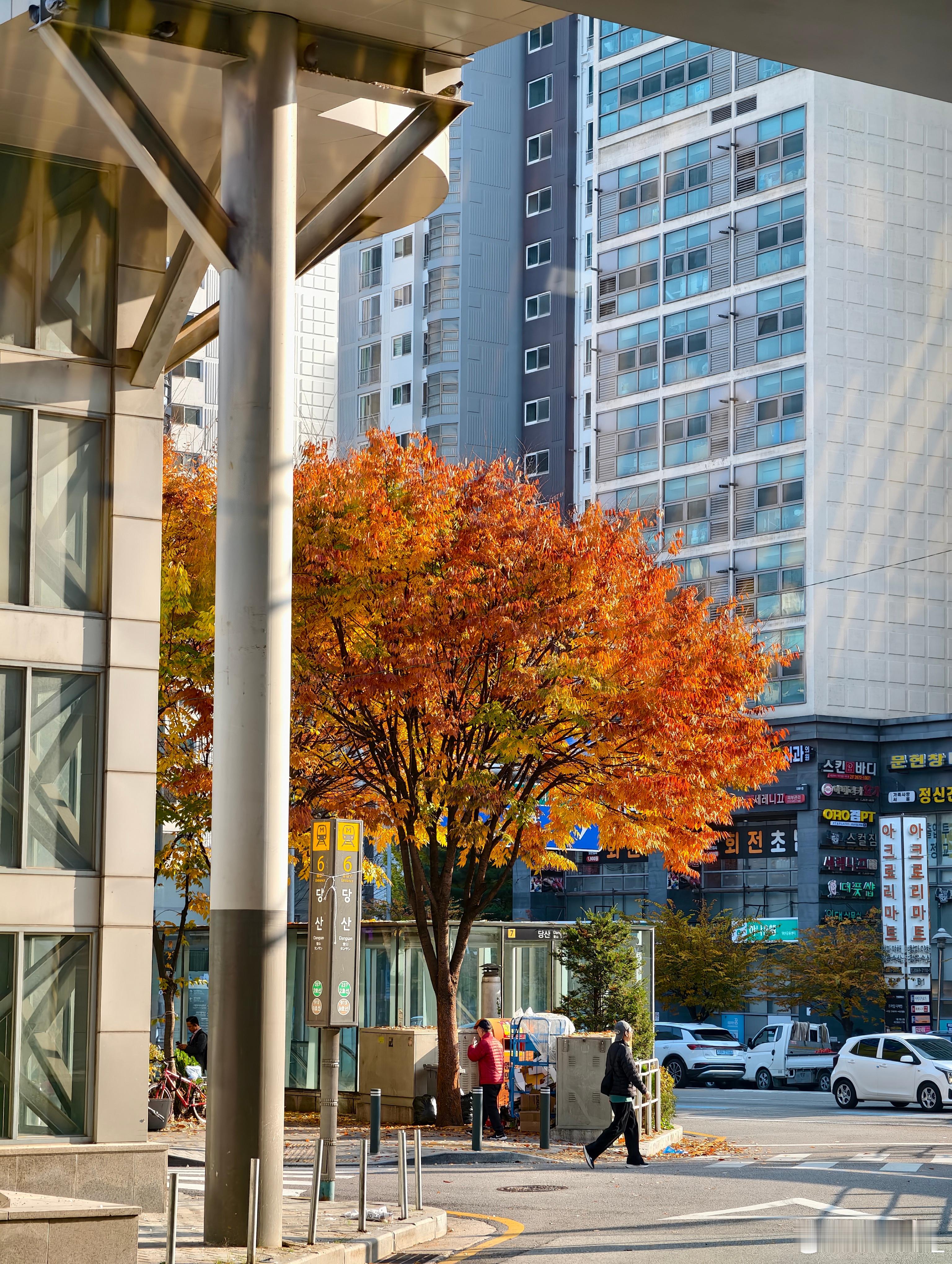 来首尔休息几天，溜达溜达温度是穿一件卫衣一件外套刚刚好的程度这边的枫叶，也都差不