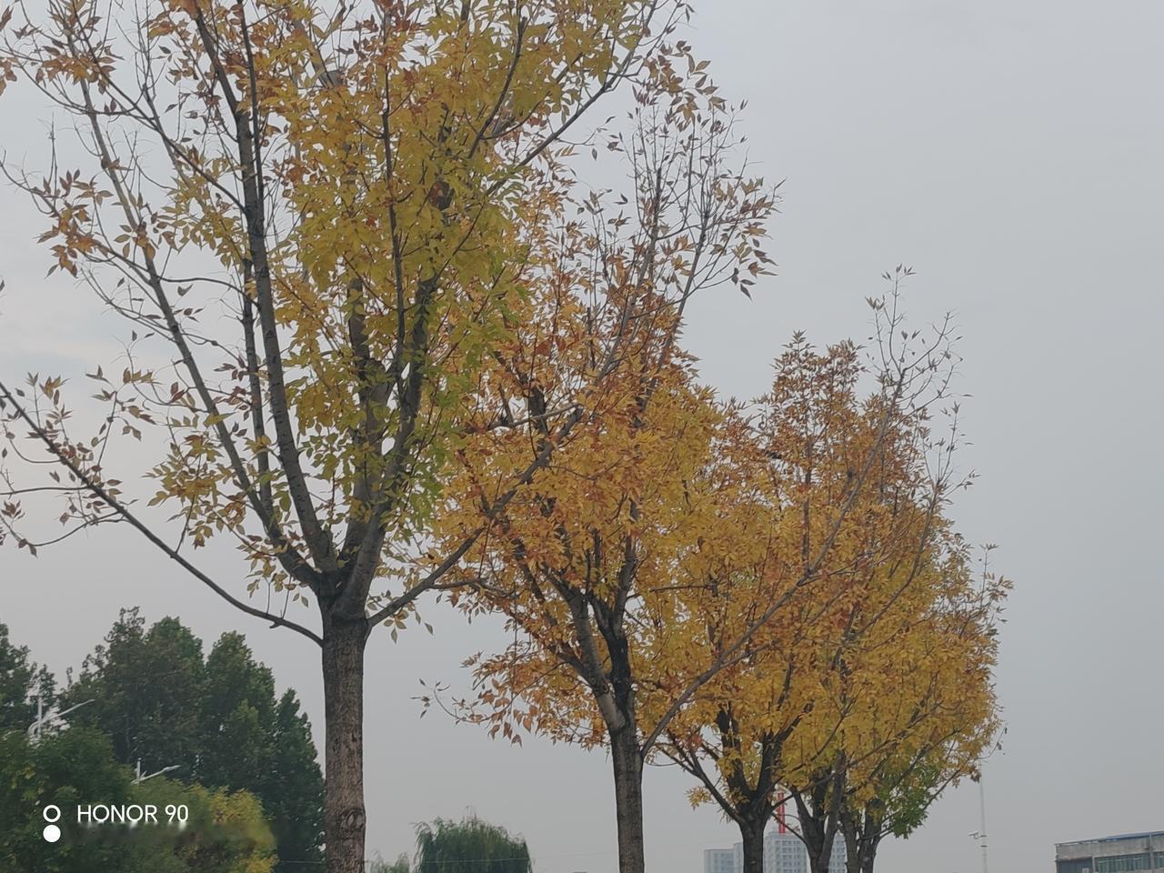 教育要解决的根本问题是什么教育要解决的根本问题，是让人成为完整的人——既掌握安身