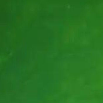 无缘不生，无缘不灭；无缘不聚，无缘不散。一切皆是因缘和合。学会惭愧，学会忏悔，学