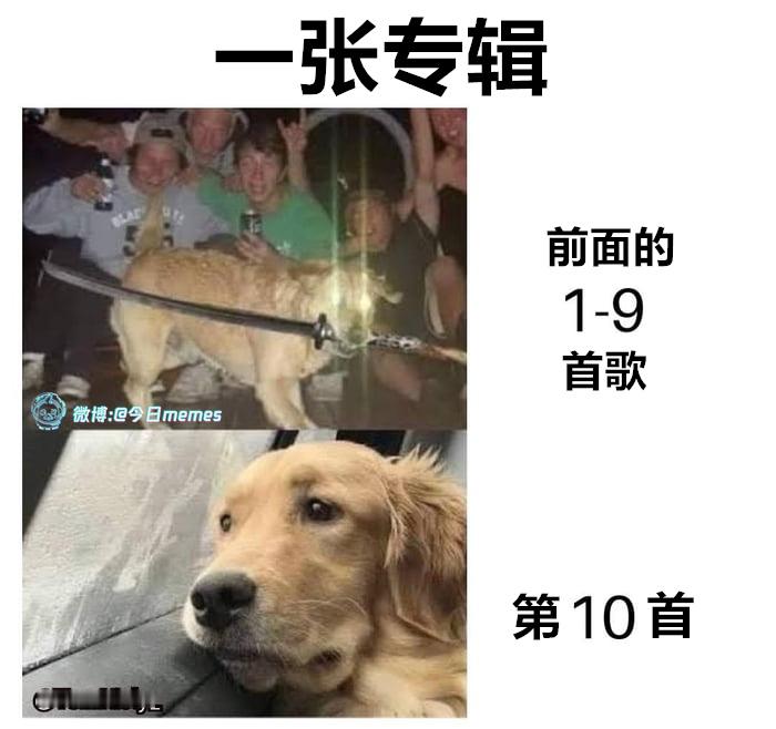 情绪调节（9gag）今日meme 今日memes