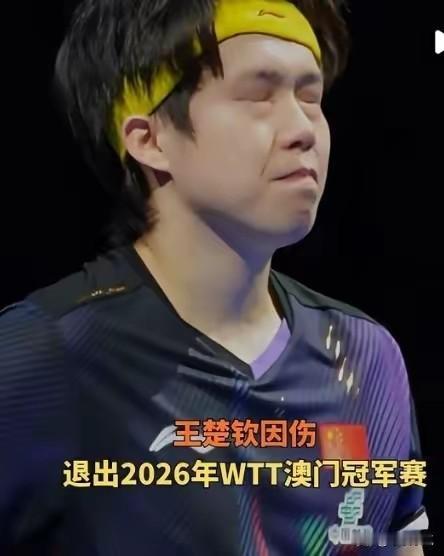 王楚钦为什么这么难？央视记者常新宇给出了最贴切的答案：舆论环境太差了！

王楚钦