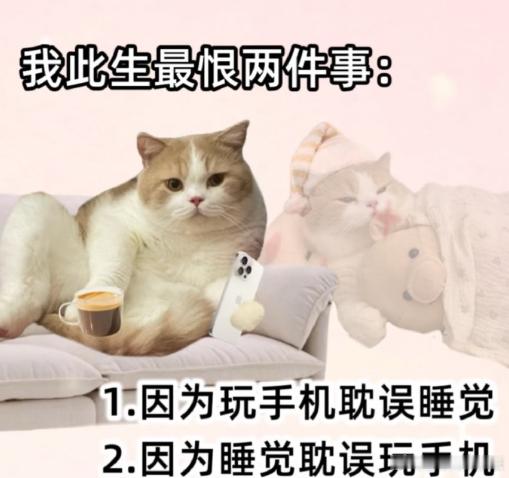 睡前想着再玩半小时就睡，是手机最好玩的五个小时。然后想着明天一定早睡