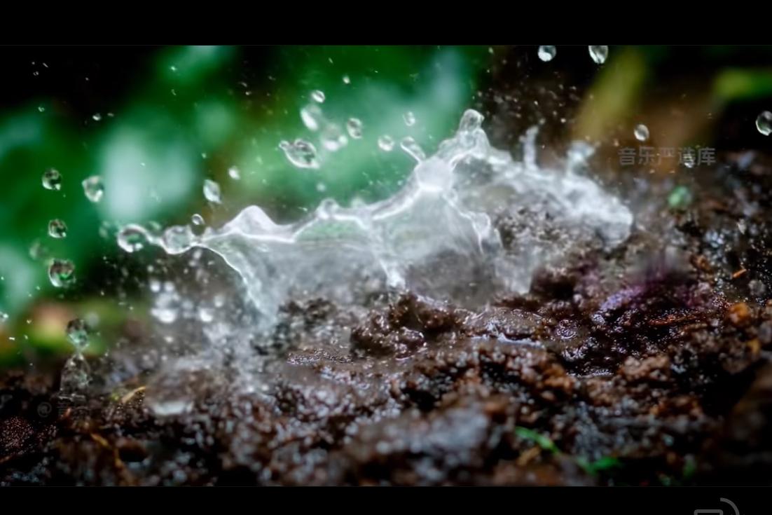 秋日物语
下下雨的日子……