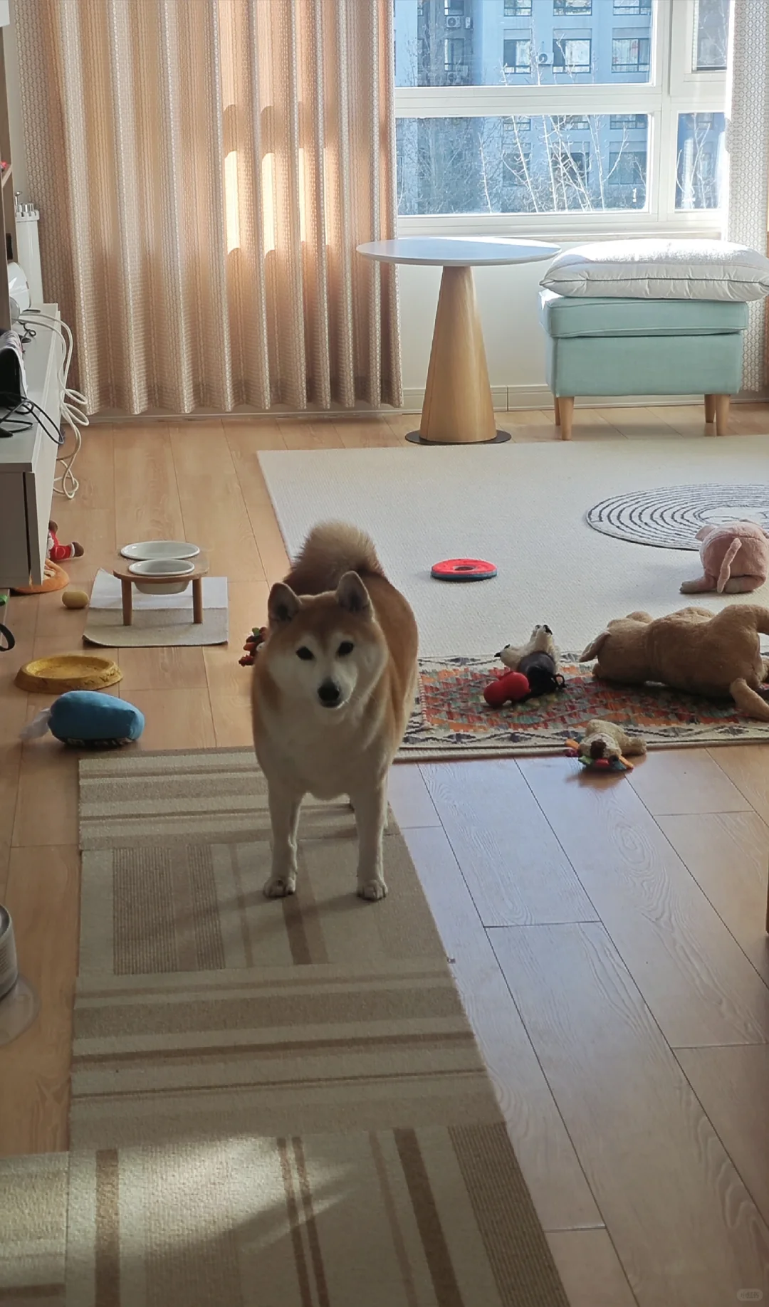 去上你那个不值钱的班吧！