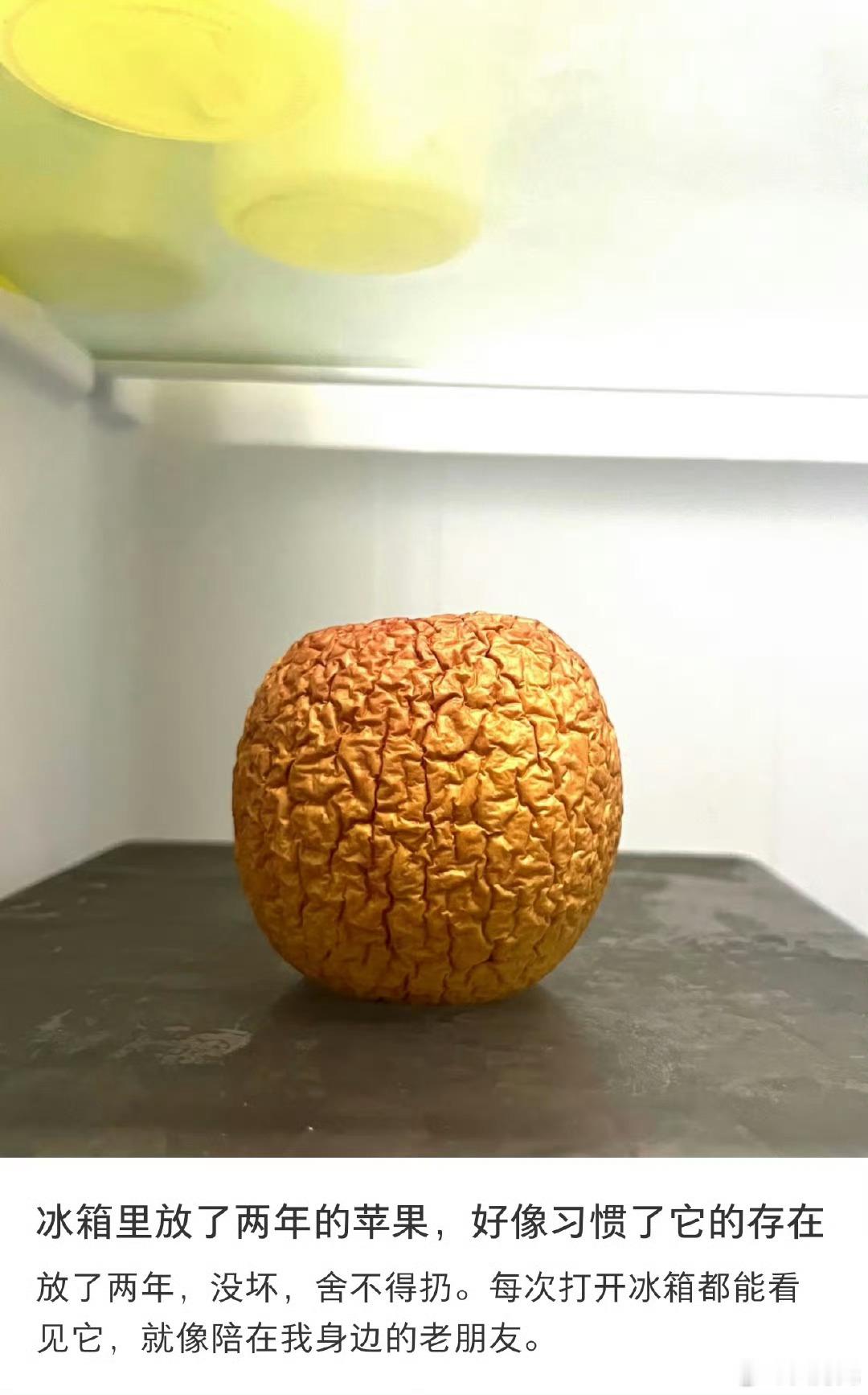 冰箱里放了两年的苹果，我的妈呀，都不害怕病变产生细菌吗？表面上看着是好的，散发的