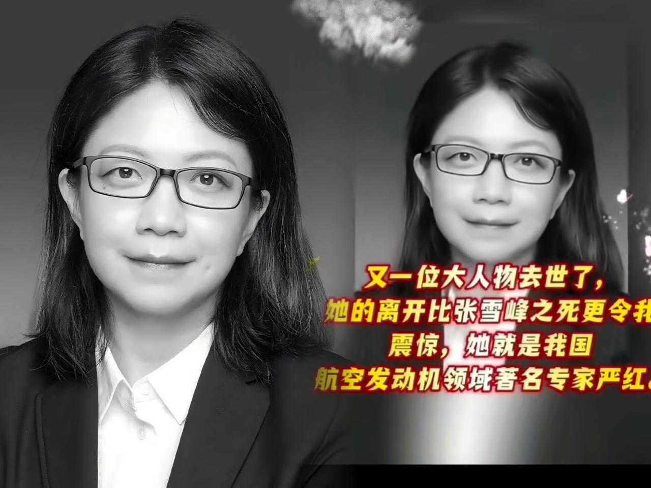 热搜上天天挂着明星八卦的破事时。一位真正的大佬却悄无声息地走了。

严红。
西工