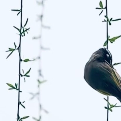 行善不在多少，在于那份心意，量力而为，日行一善，积少成多。我相信，只要我们大家坚