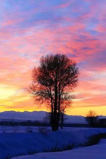 1，政治上。美国正处在美苏争霸时期。尼克松访华后，在美苏争霸中美国的战略竞争压力