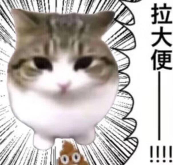 最近爱用的表情包 .ᐟ‪.ᐟ ​​​