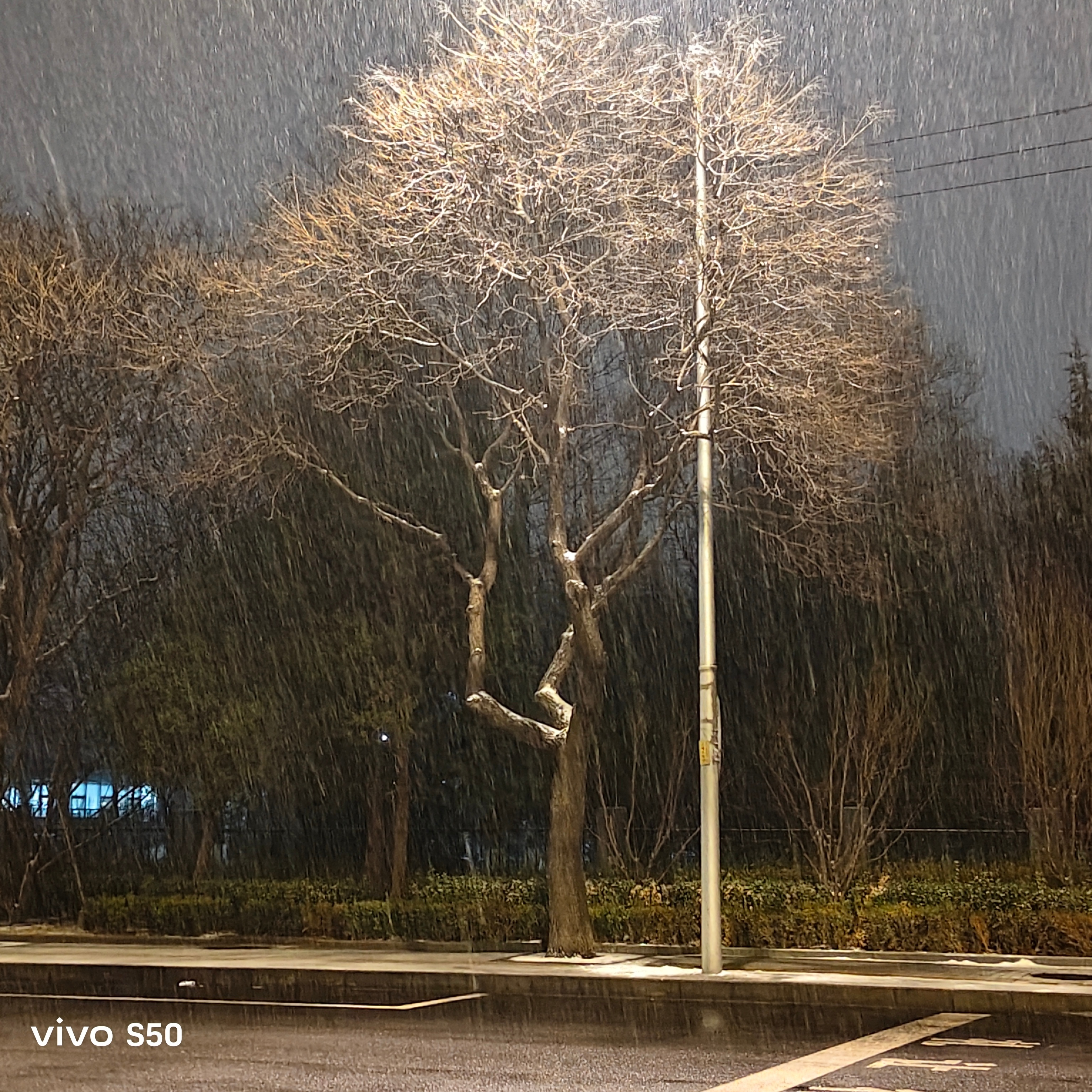 本该春野浮绿，万物新生的季节，下什么雨夹雪呀天又冷，路又脏