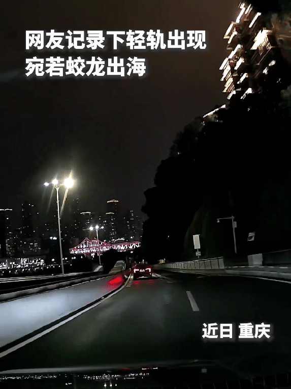 眼前一幕太美了！重庆一男子夜间驾车行驶在嘉滨路上，原本安心赶路，正留意着前方路面