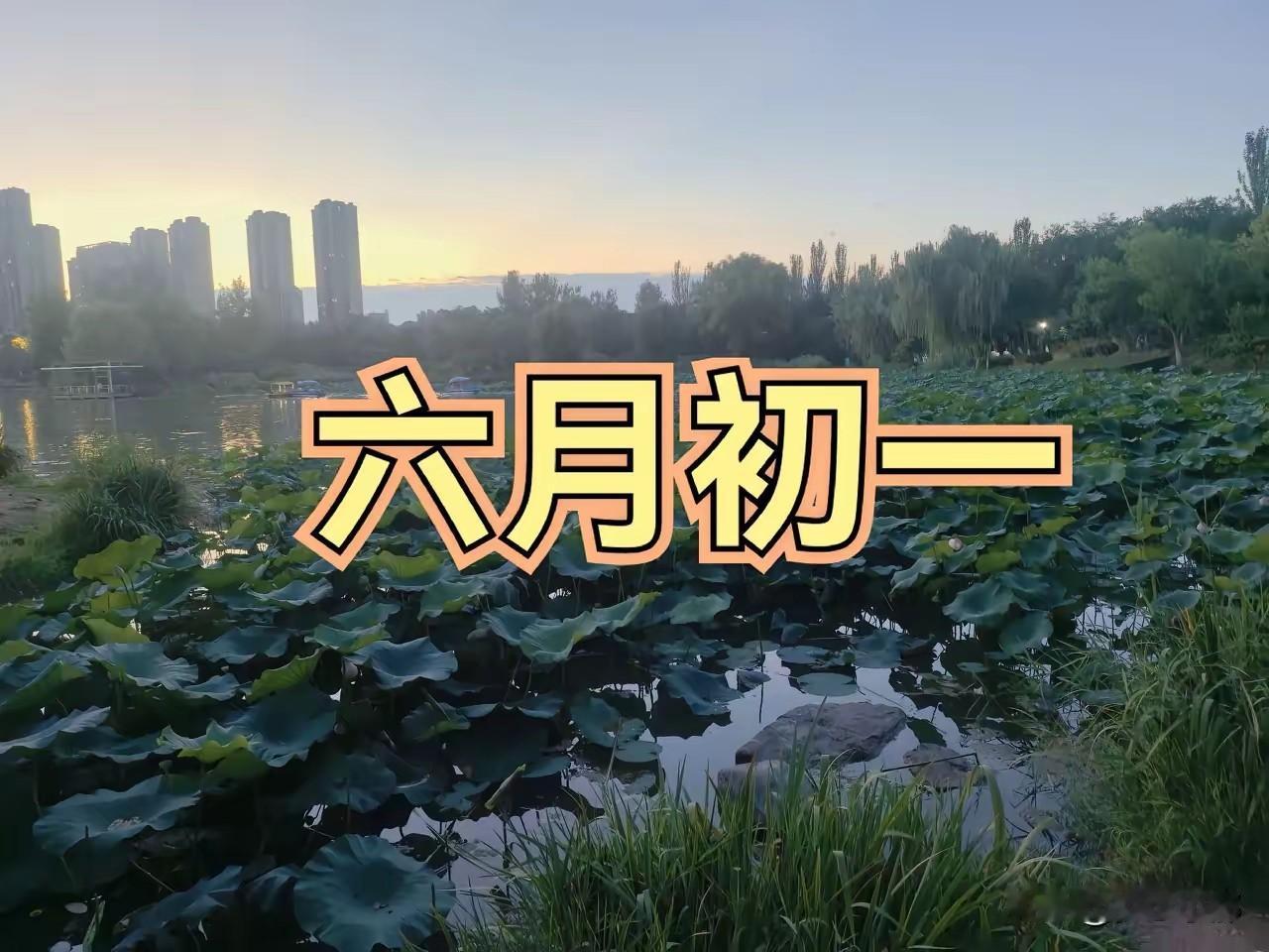 明日六月初一是“凶日”，牢记：一不晚、二要补、三不吃、四要开
 
农历六月又称荷