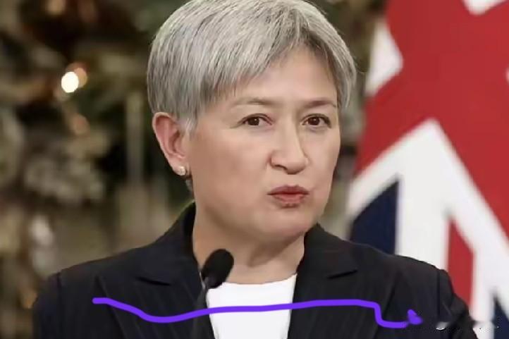 澳大利亚外长黄英贤21日发表声明，批评中国采取“破坏稳定”的行动，并称“中国近期