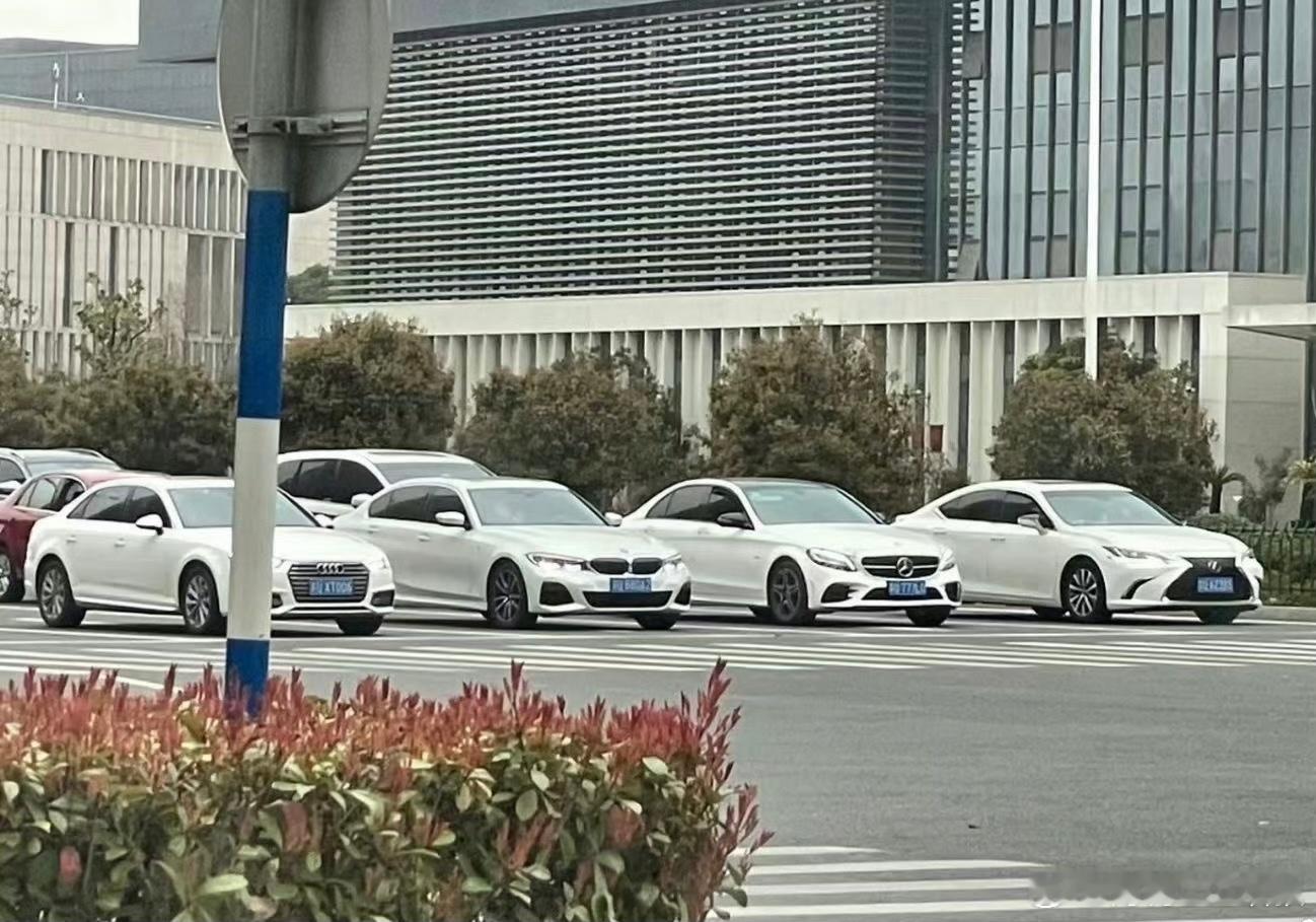 群里看到的一张图，这...大场面啊！如果让你用一句话点评这张图，你会怎么说？#大