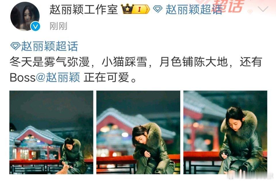#赵丽颖小猫踩雪#赵丽颖与小猫暖心互动，小猫踩雪，活泼可爱，投喂小猫画面温馨又治