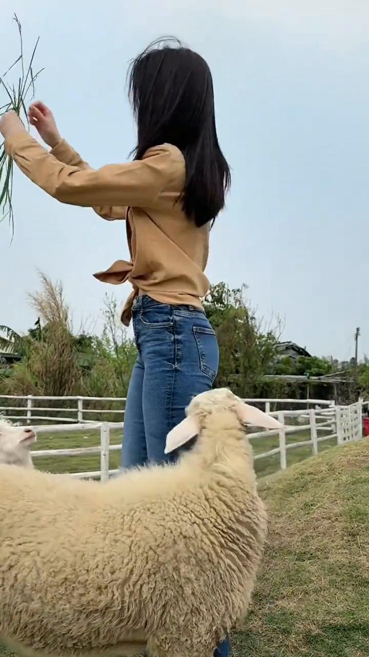 哇，哎呦，呦呦呦呦，哎呦呦，呦呦。