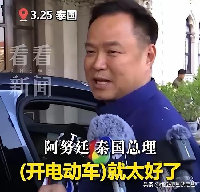 东南亚缺能源物资时，知道转向了，亡羊补牢还不晚，幸运的是东南亚各国离时代风口很近