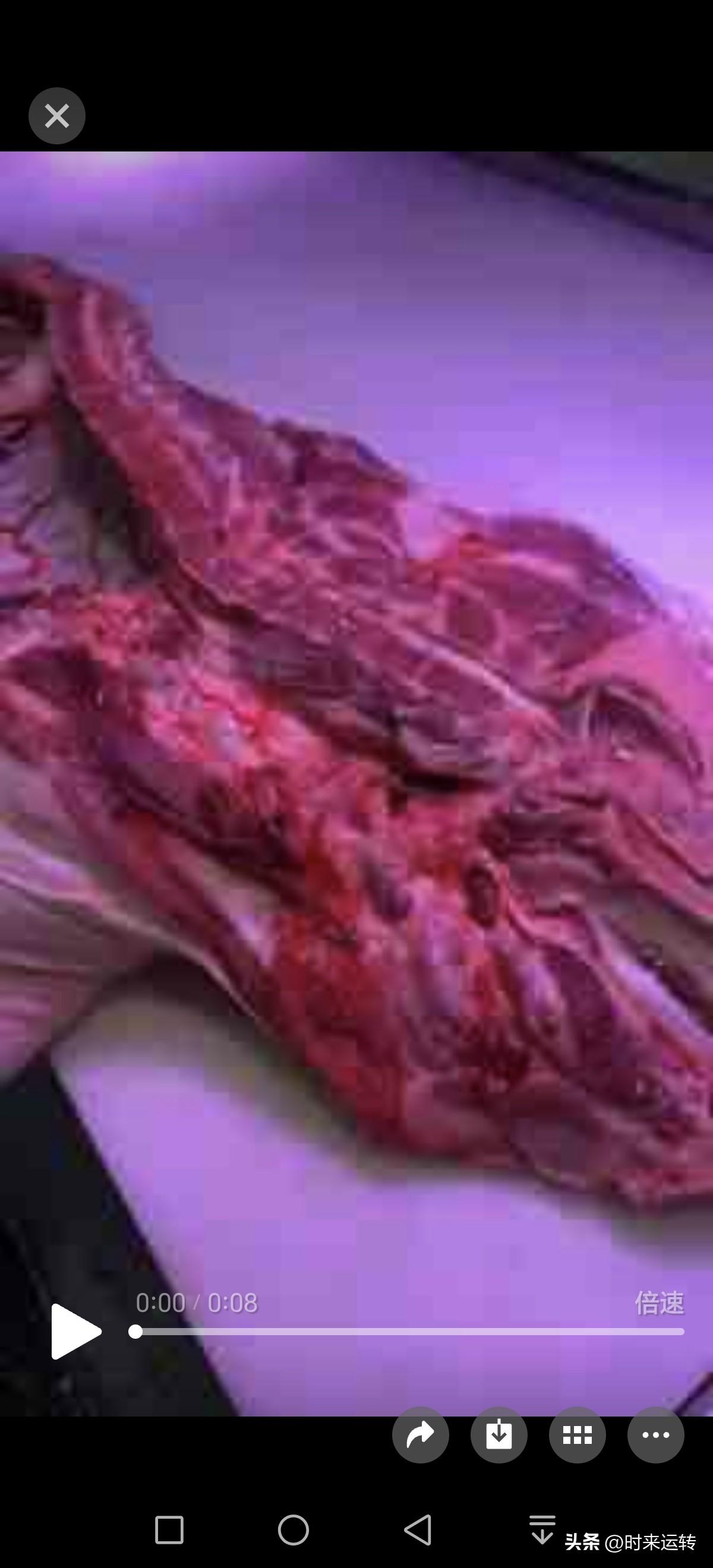 悄咪咪的，猪肉要开始涨价了！
昨天去超市里买菜，发现开在村庄里面的超市，猪肉的价
