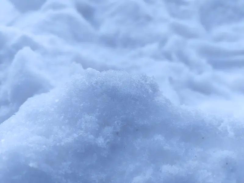 雪不能乱吃！南方8岁男孩到东北旅游，吃了几口雪，结果悲剧了——高烧腹泻确诊急性肠