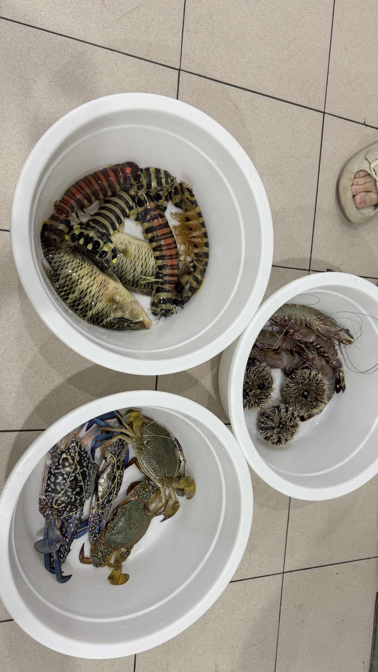 我在仙本那花了300人民币拿下了海鲜！ 目前国内还有什么地方能吃到这么便宜的海鲜