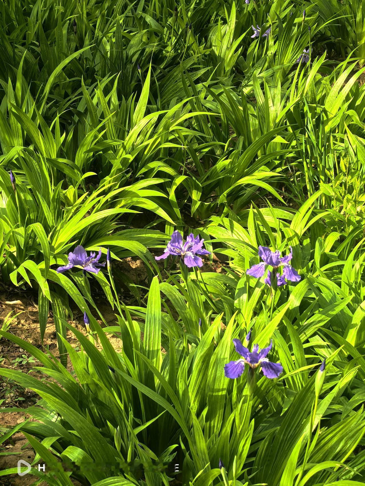 在这个世界上，对于人来说没有比健康最重要的了。身份、地位、荣耀的光环，就像是雨后