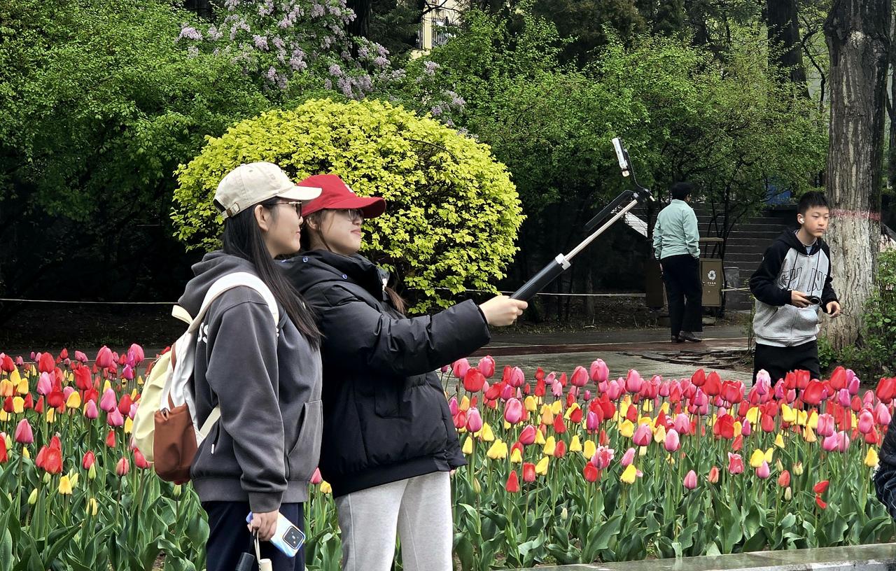 五一赴青海：风雨兼程，邂逅高原繁花与旧梦
 
今日是五一劳动节，于我而言，更是一