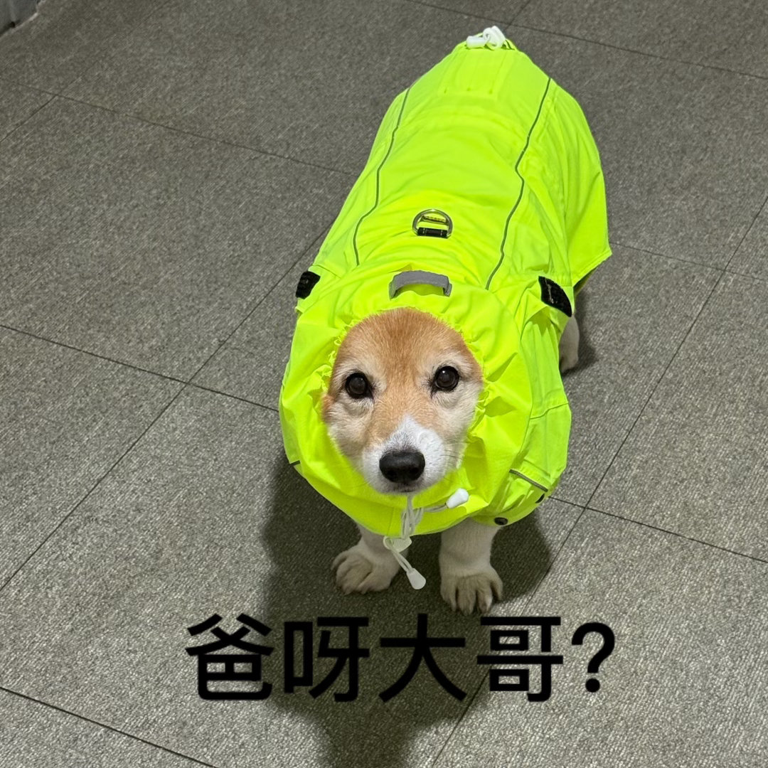 爸呀大哥 没话说！ 