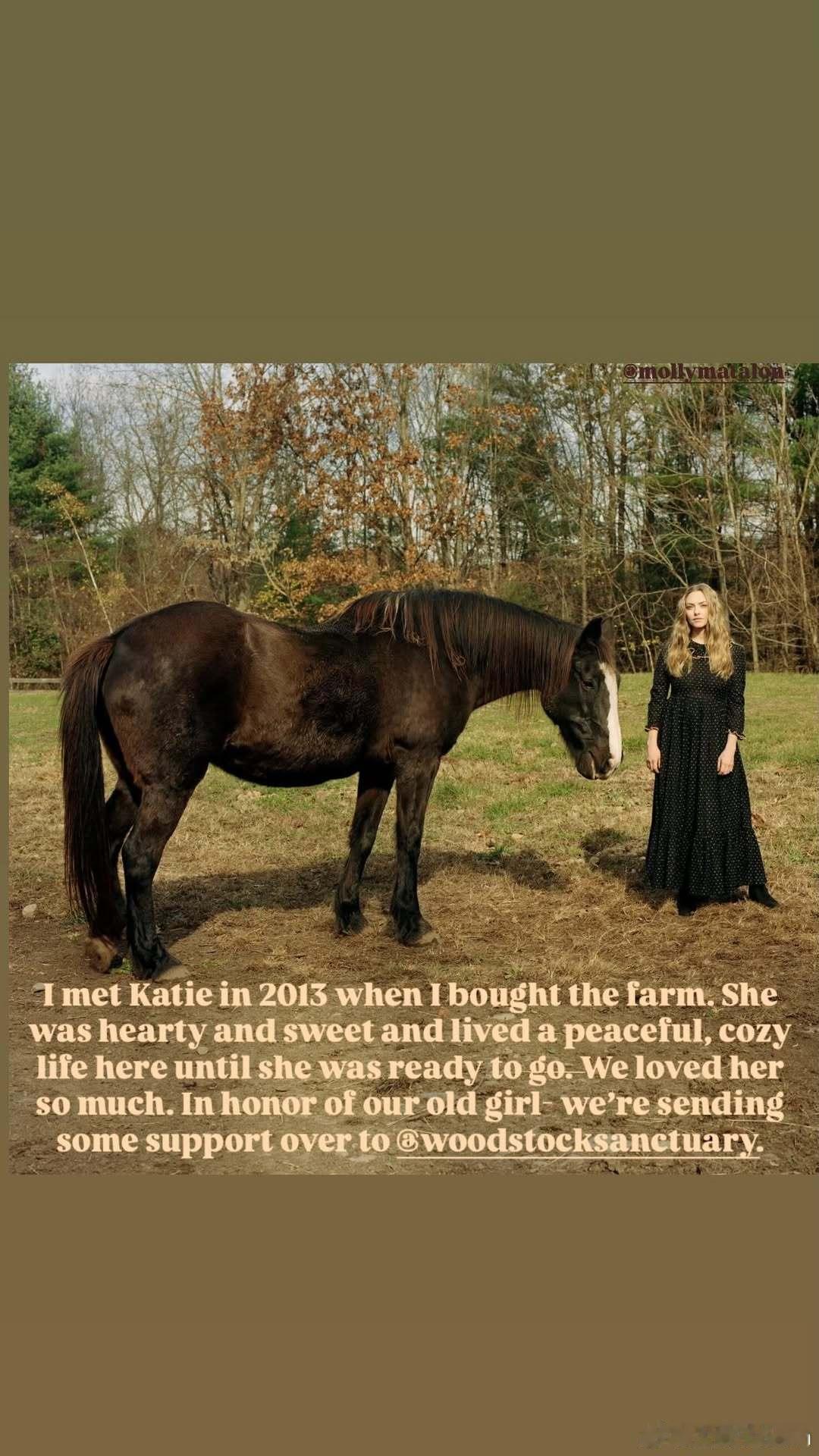 amanda seyfried阿曼达塞弗莱德怀念自家农场的马儿Katie，阿曼达