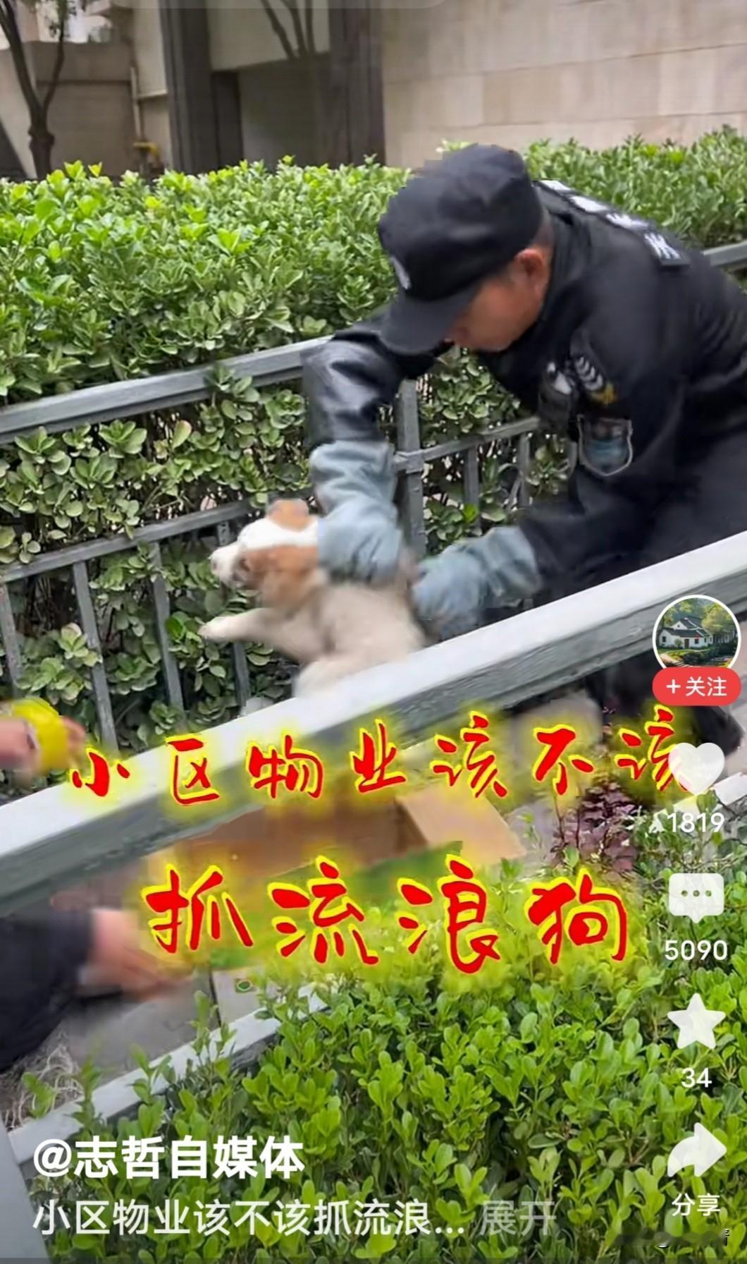 “既然是流浪狗，不管在哪里都应该抓！否则，咬到人无法找到承担责任的人。”那小区物