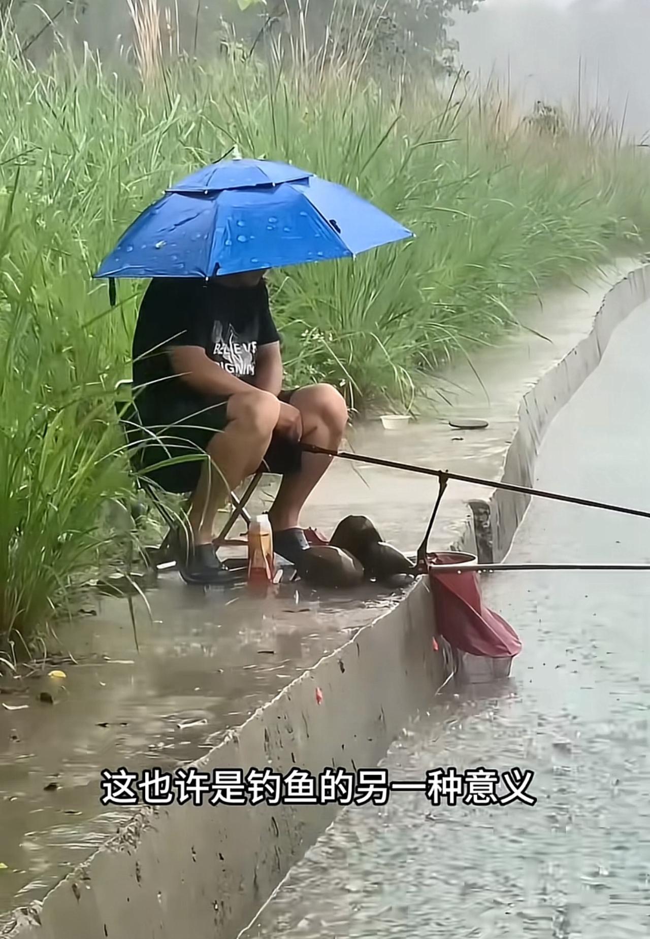 我觉得钓鱼的人是这个世界上意志最坚定的人。无论风吹日晒，无论刮风下雨，无论蚊虫叮