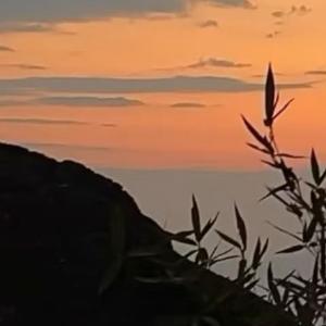 情感语录 “期待和落空是人生常态，但没关系” “人生是螺旋下降的，期待和落空才是