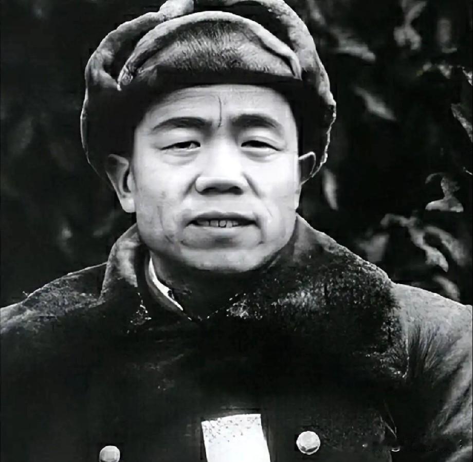 许世友退居二线之后，定居南京。聂凤智找老首长谈话，非常严厉地对许世友说，我要和你