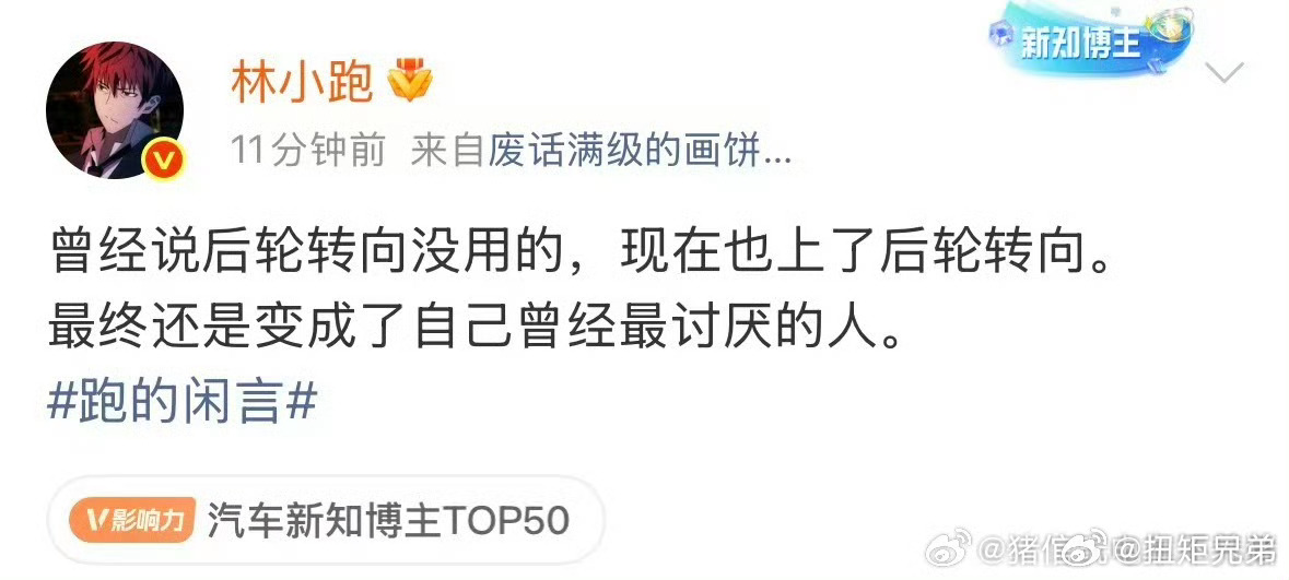 没看明白后轮转向不应该是大型车标配吗大车有肯定更好没上肯定是取舍怎么会觉得没用呢
