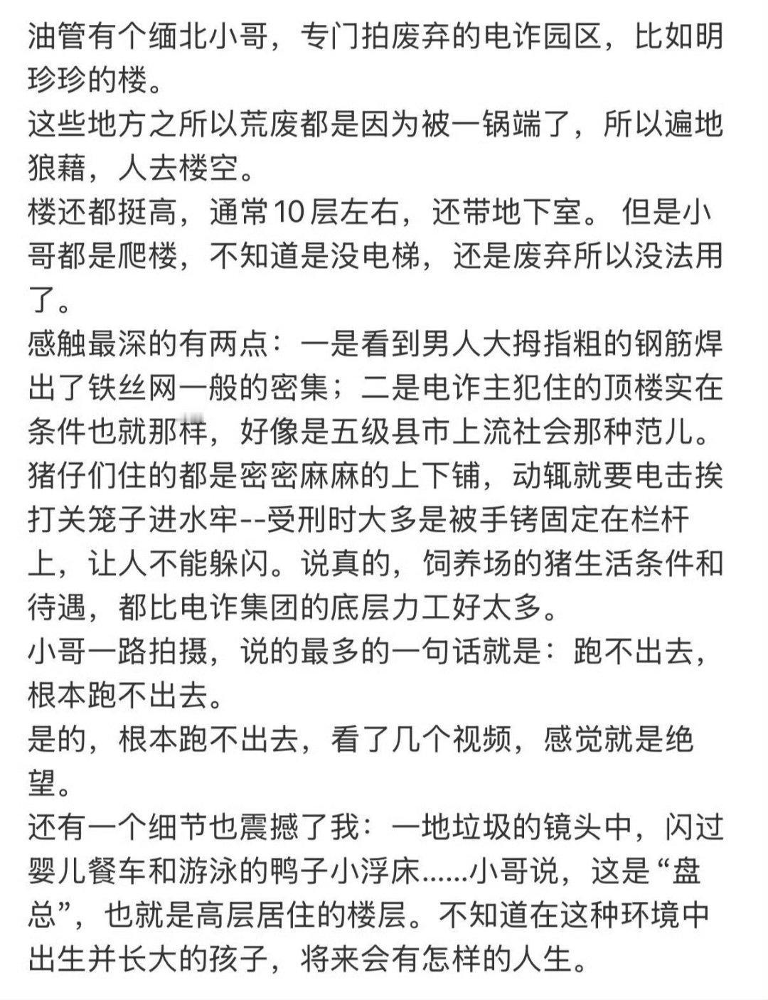 窃以为，“电诈”这个词太轻描淡写了。绑架虐待谋杀、器官买卖、非法武装等等。这些可